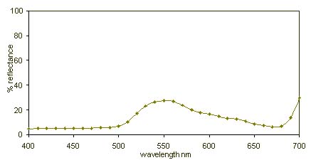 s193.jpg - 16744 Bytes